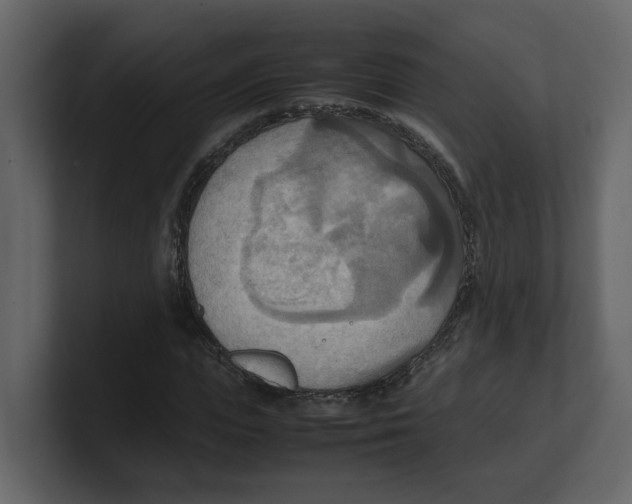 X0000100480823200807111059