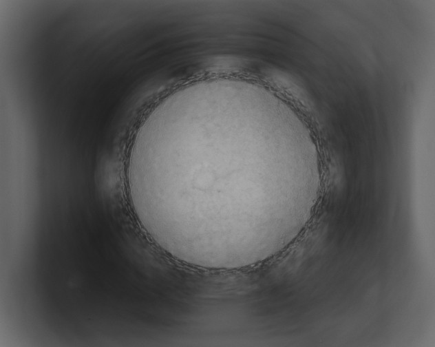 X0000100480824200807111059