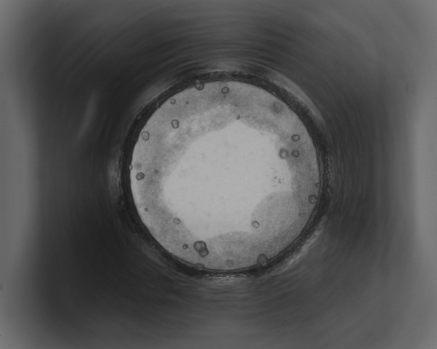 X0000100480826200807111059