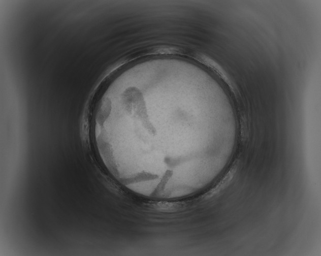 X0000100480827200807111059