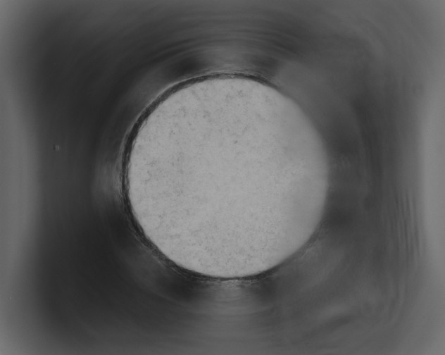 X0000100480828200807111059