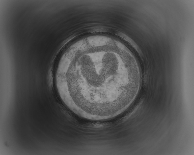 X0000100480829200807111059