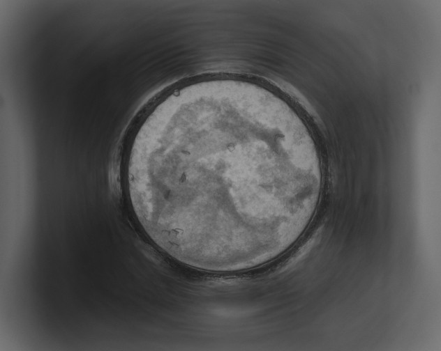 X0000100480830200807111059