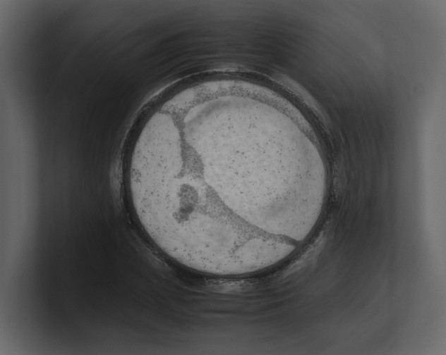 X0000100480831200807111059