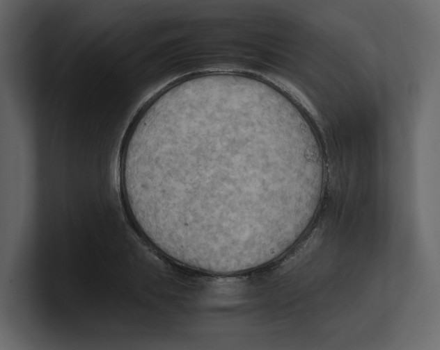 X0000100480839200807111059