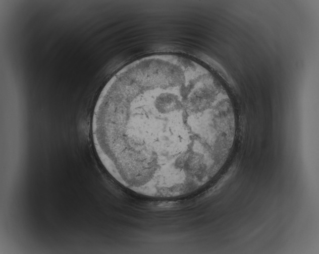X0000100480841200807111059