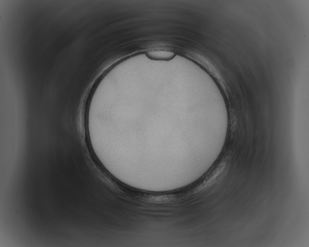 X0000100480843200807111100