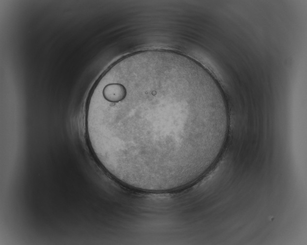 X0000100480844200807111100