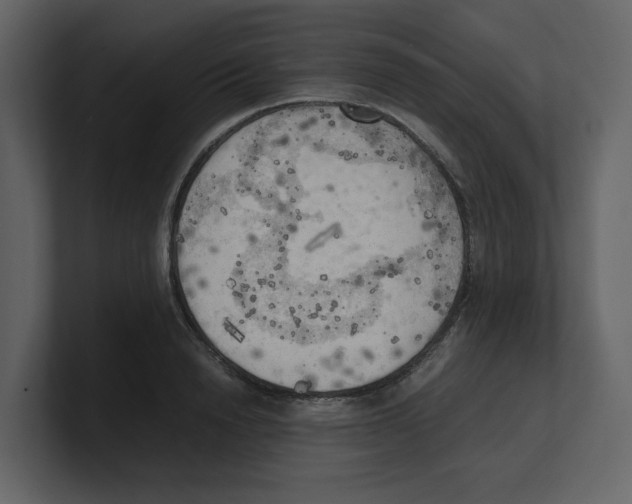 X0000100480846200807111100