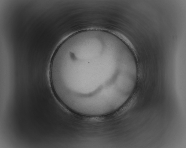 X0000100480847200807111100