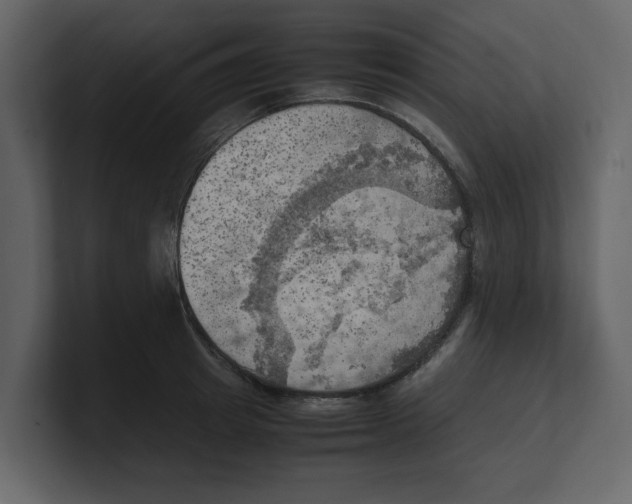 X0000100480849200807111100