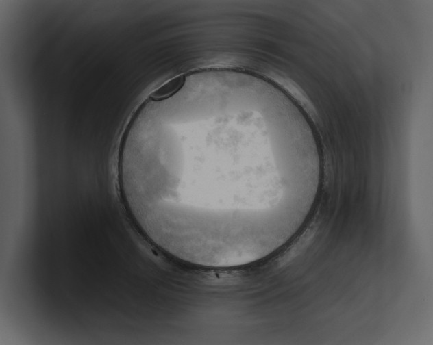 X0000100480850200807111100