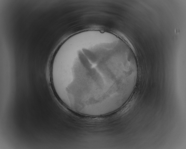 X0000100480851200807111100