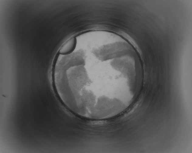 X0000100480853200807111100