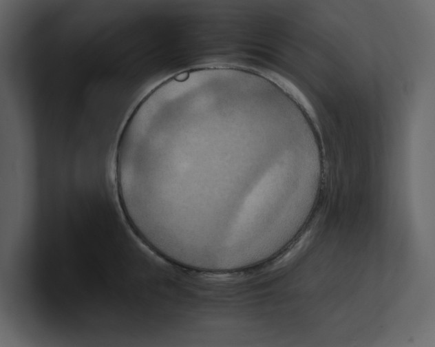 X0000100480855200807111100