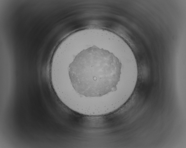 X0000100480856200807111100