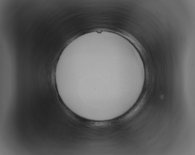 X0000100480857200807111100