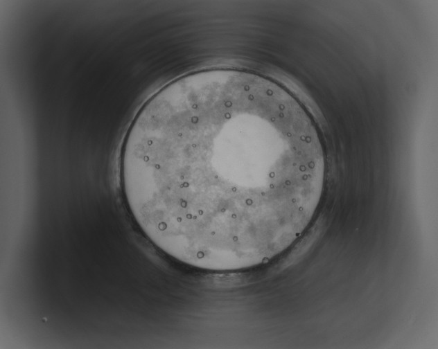 X0000100480858200807111100