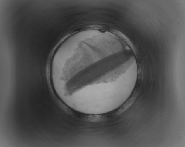 X0000100480859200807111100