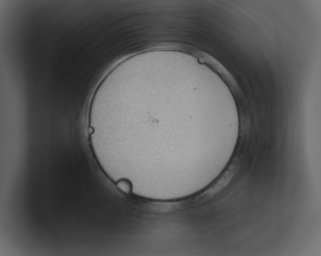 X0000100480860200807111100