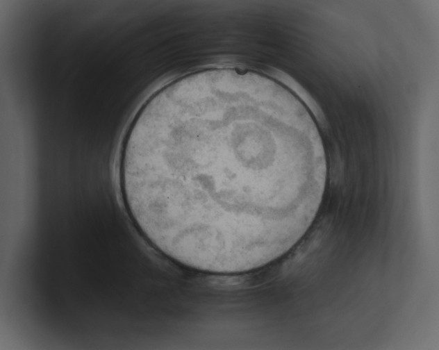 X0000100480861200807111100