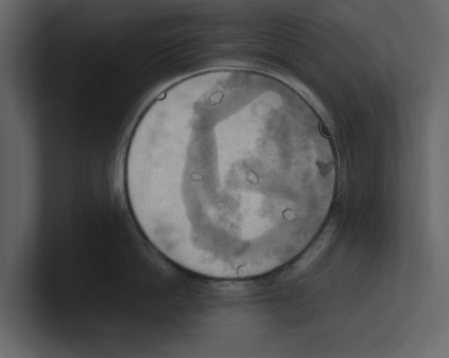X0000100480862200807111100