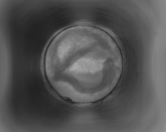 X0000100480864200807111100