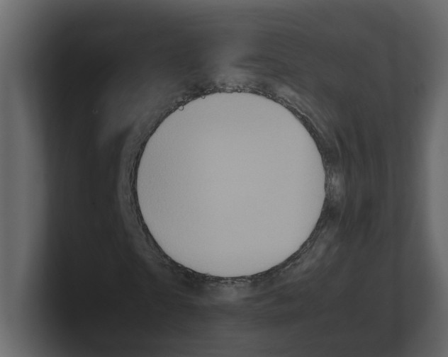 X0000100480865200807111059