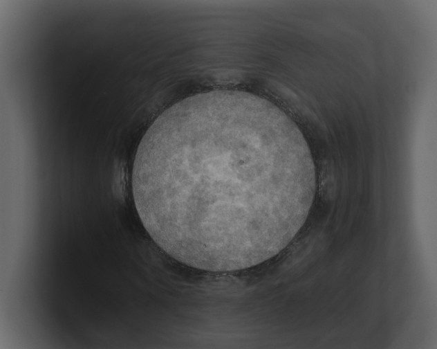 X0000100480866200807111059