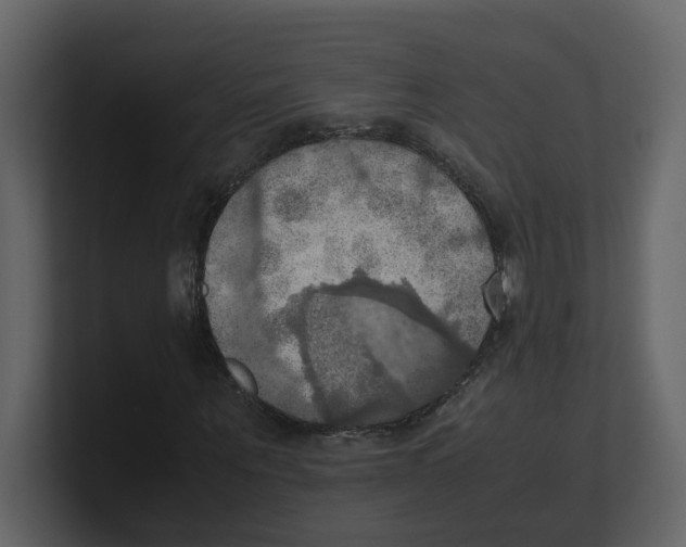 X0000100480867200807111059