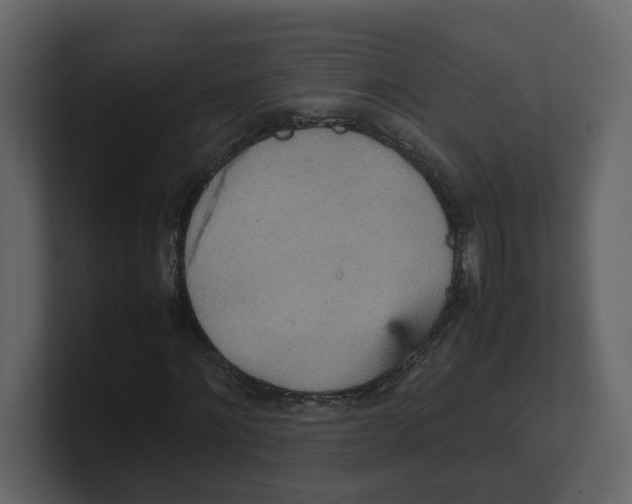 X0000100480868200807111059