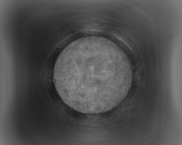 X0000100480870200807111059