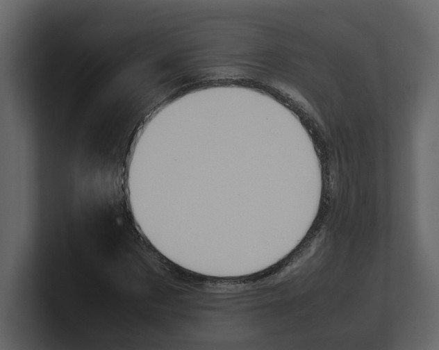 X0000100480873200807111059