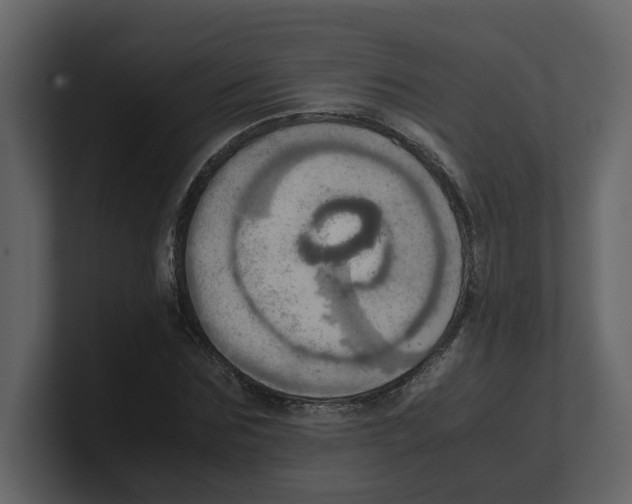 X0000100480875200807111059