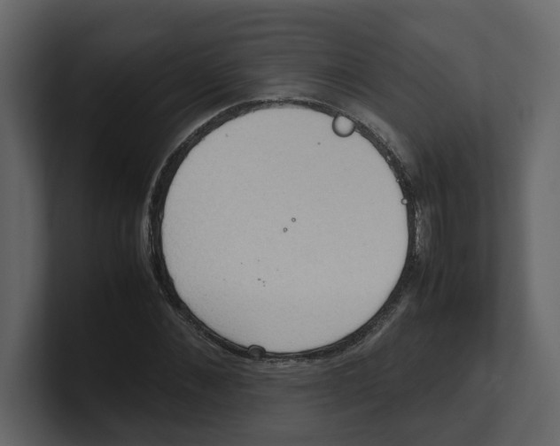 X0000100480876200807111059