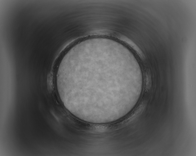 X0000100480878200807111059