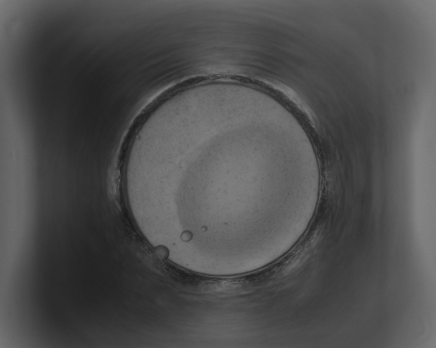 X0000100480879200807111059