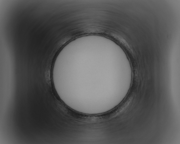 X0000100480881200807111059