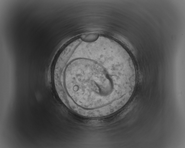 X0000100480883200807111059