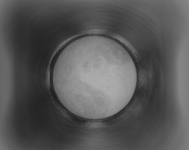 X0000100480886200807111059