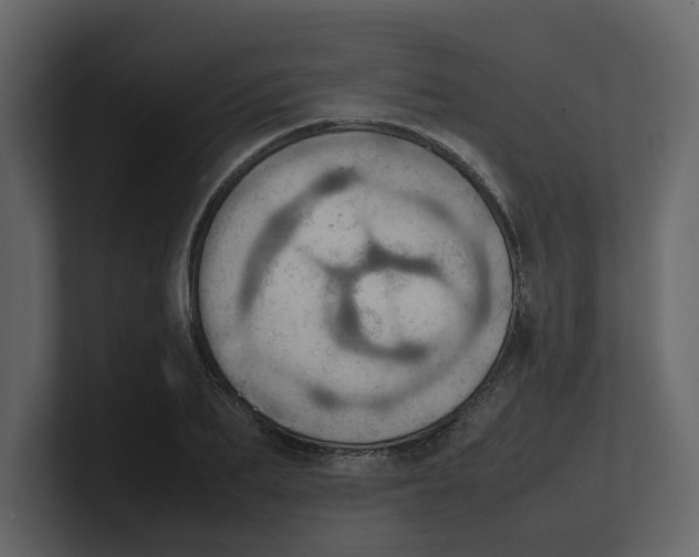 X0000100480887200807111059