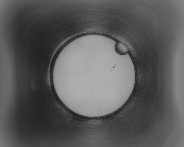 X0000100480888200807111059