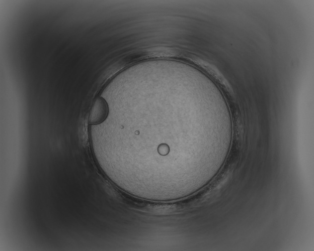 X0000100480889200807111059