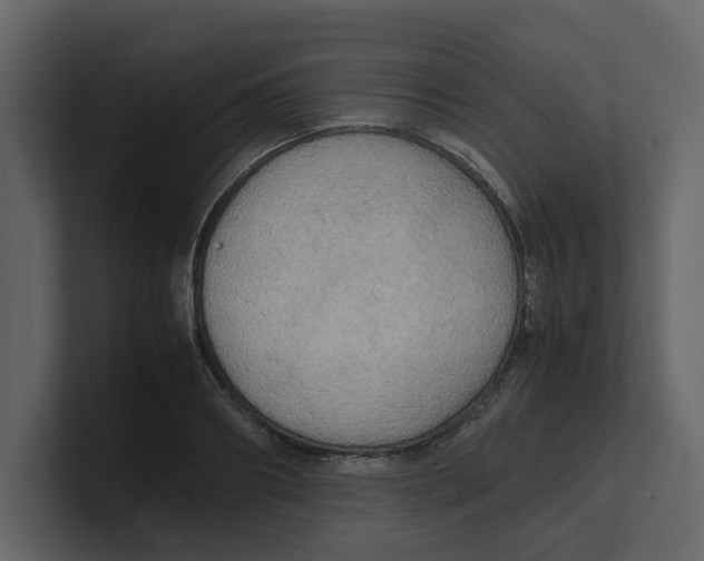 X0000100480890200807111059