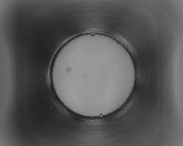 X0000100480892200807111059