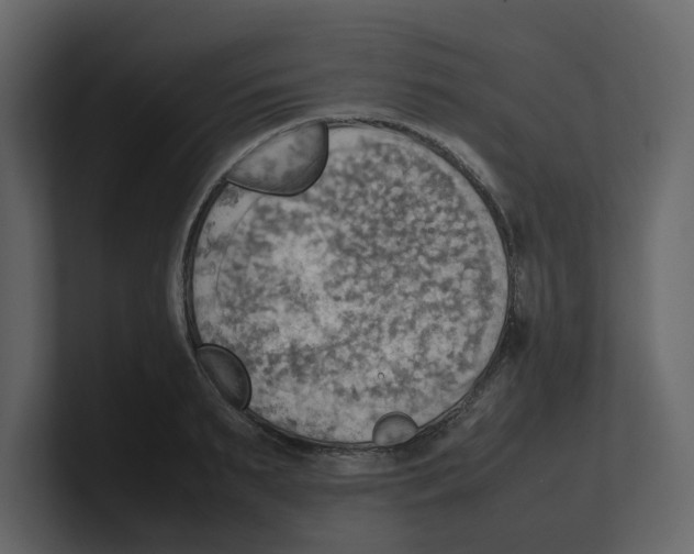 X0000100480895200807111059