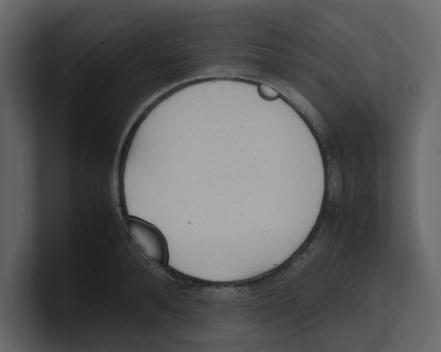 X0000100480896200807111059