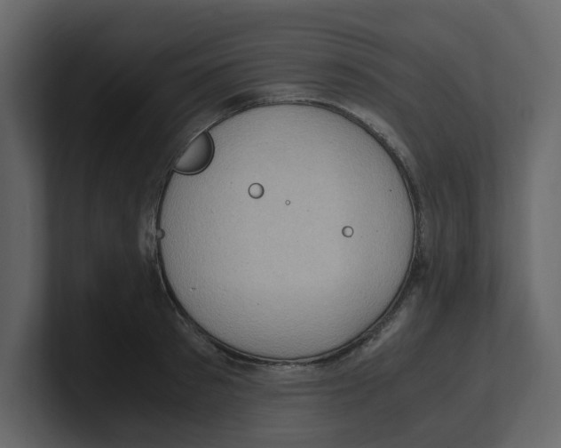 X0000100480897200807111059