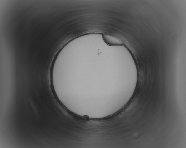 X0000100480898200807111059