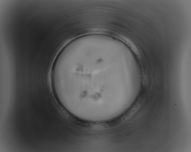 X0000100480899200807111059